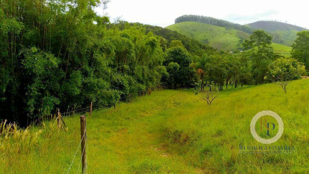 Fazenda à venda com 5 quartos, 6m² - Foto 3