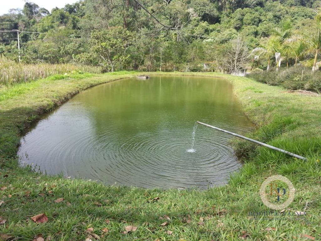 Fazenda à venda com 5 quartos, 6m² - Foto 4