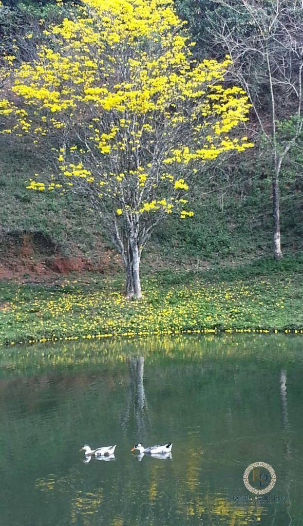 Fazenda à venda com 5 quartos, 6m² - Foto 8