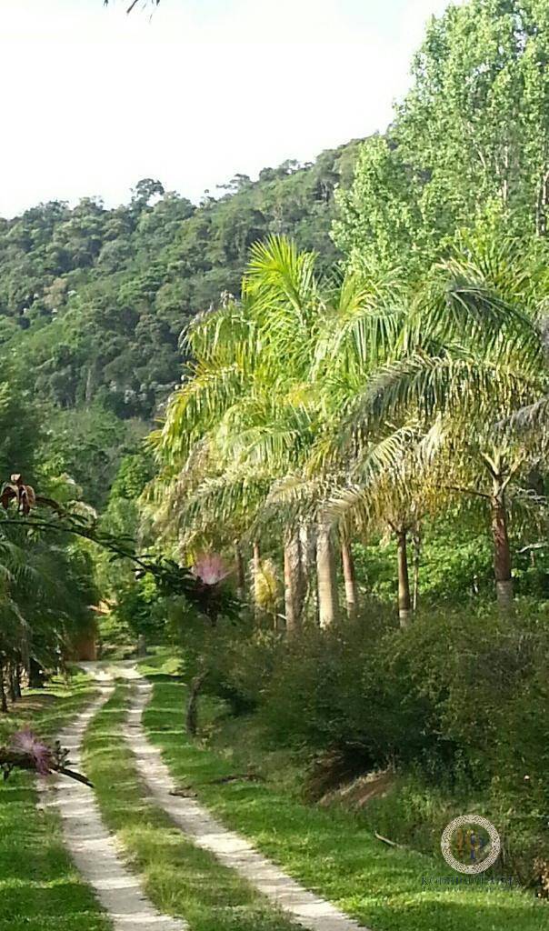 Fazenda à venda com 5 quartos, 6m² - Foto 9