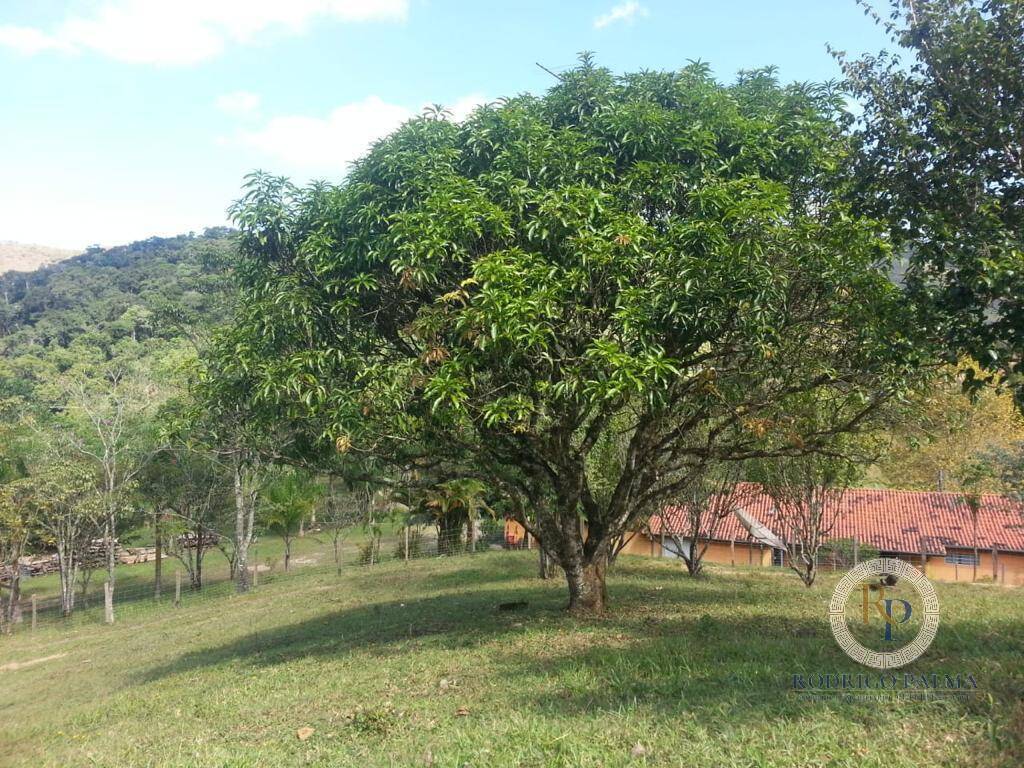 Fazenda à venda com 5 quartos, 6m² - Foto 12