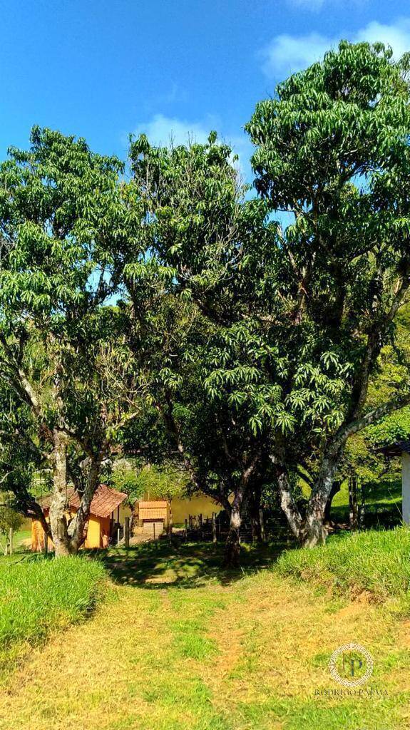 Fazenda à venda com 5 quartos, 6m² - Foto 21