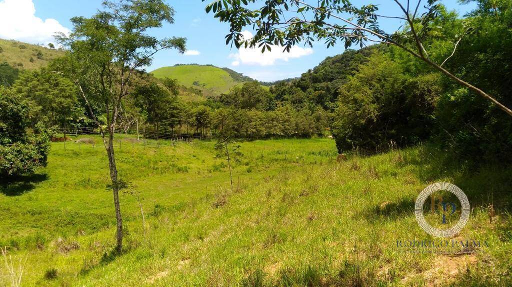 Fazenda à venda com 5 quartos, 6m² - Foto 26