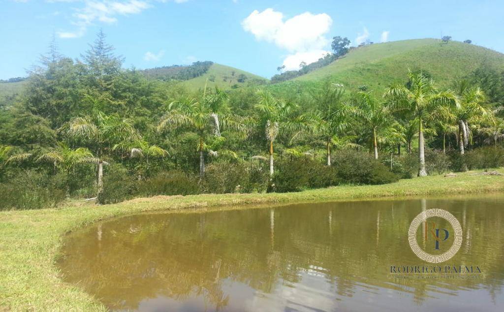 Fazenda à venda com 5 quartos, 6m² - Foto 28