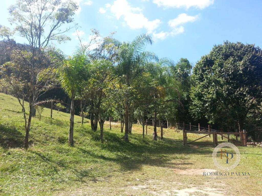 Fazenda à venda com 5 quartos, 6m² - Foto 32