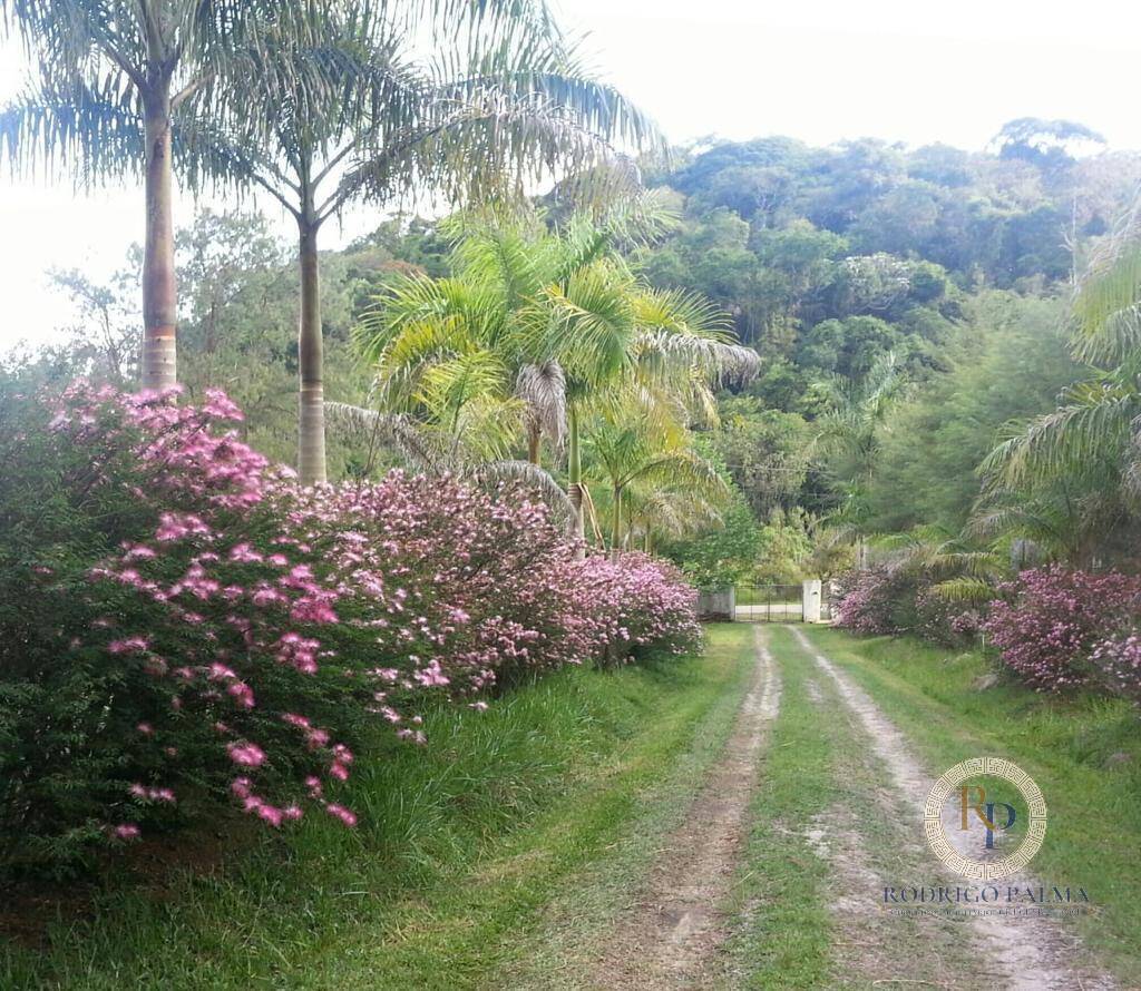 Fazenda à venda com 5 quartos, 6m² - Foto 36