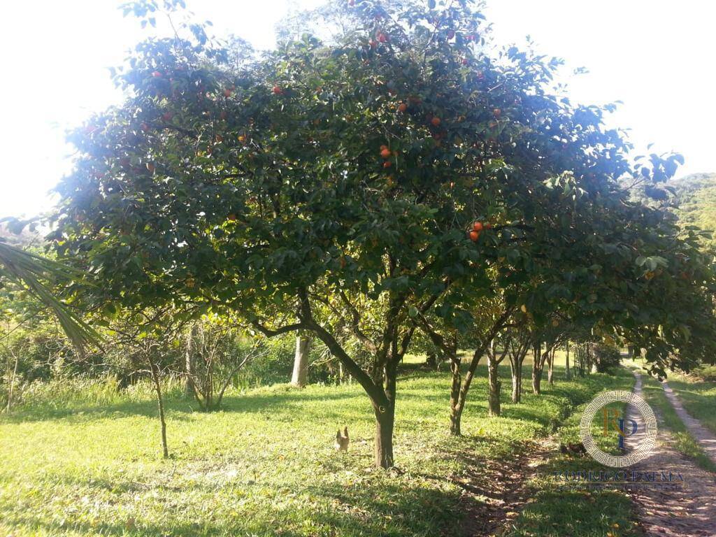 Fazenda à venda com 5 quartos, 6m² - Foto 33