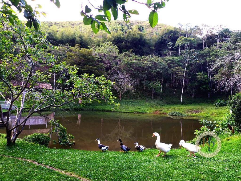 Fazenda à venda com 5 quartos, 6m² - Foto 47