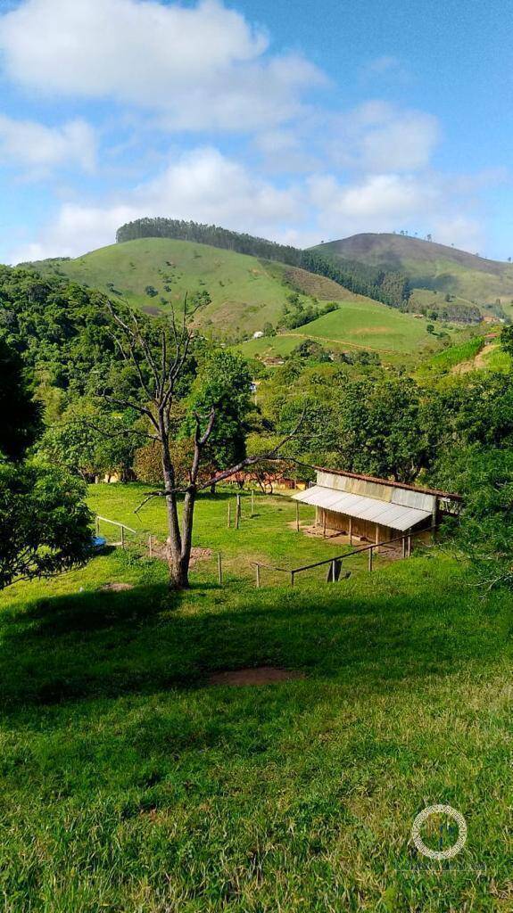 Fazenda à venda com 5 quartos, 6m² - Foto 48